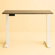 Bureau B klasse - 1 motor - 2 Fase 72-117 cm NEN-EN 527